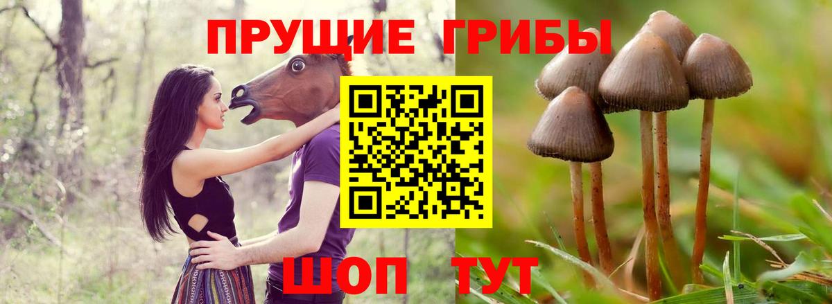 Псилоцибиновые грибы ЛСД Алексеевка